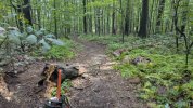 PXL_20250821_174721390.jpg