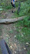 PXL_20250823_130054101.jpg