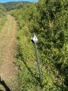 IMG_0774.jpeg