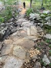 IMG_5565.jpeg