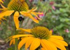 IMG_5543.jpeg