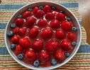 IMG_5550.jpeg