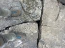 IMG_5567.jpeg