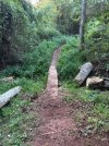 IMG_5064.jpeg