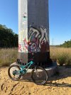 IMG_8437.jpeg