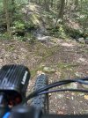 IMG_4577.jpeg