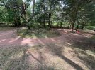 IMG_8281.jpeg