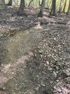 IMG_2343.jpeg