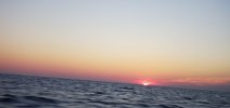 20250919_064406.jpg