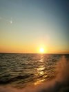 20250919_065632.jpg