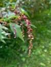 IMG_5647.jpeg
