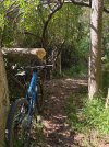 IMG_9288.jpeg