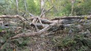 PXL_20250923_164524245.jpg