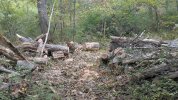 PXL_20250923_180735434.jpg
