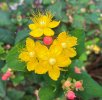 IMG_5675 (1).jpeg