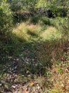 IMG_0797.jpeg