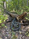 IMG_0061.jpeg