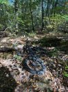 IMG_0071.jpeg