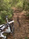 IMG_0224.jpeg