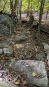 PXL_20251002_172337688.jpg