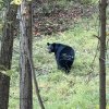 IMG_0102.jpeg