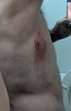 PXL_20251004_214710302.MP.jpg