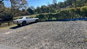 IMG_0629.jpeg
