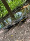 IMG_0852.jpeg