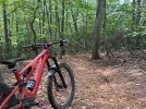 IMG_6075.jpeg