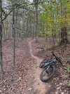 IMG_4488.jpeg