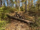 IMG_0253.jpeg