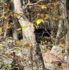 IMG_6199.jpeg
