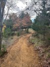IMG_3978.jpeg