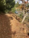IMG_3979.jpeg