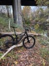 IMG_1798.jpeg
