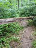 IMG_20180706_081247.jpg
