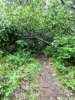 IMG_20180706_082314.jpg