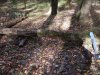 DSCN1859.JPG