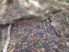 DSCN1861.JPG