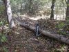 DSCN1857.JPG