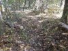 DSCN1858.JPG