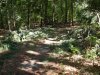 DSCN2117.JPG