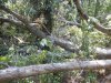 DSCN2128.JPG