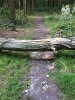 IMG_0052.JPG