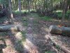 DSCN2137.JPG