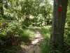 DSCN2141.JPG