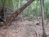 DSCN2144.JPG