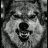 Dogtag114